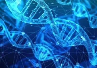 DNA strands on a blue background DNA strands on a blue background